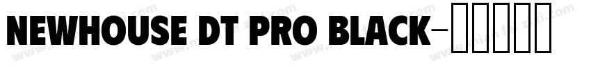 Newhouse DT Pro Black字体转换